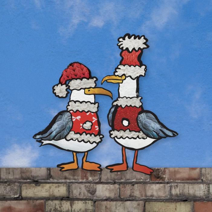 where do all the kittiwakes go.jpg